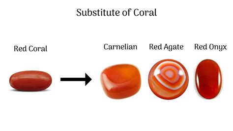 Substitute of Coral Gemstone: Best Alternative of Coral