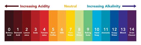 What Makes Water Acidic? | Atlas Scientific