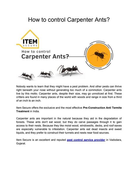 How to control Carpenter Ants? by Item Secure - Issuu