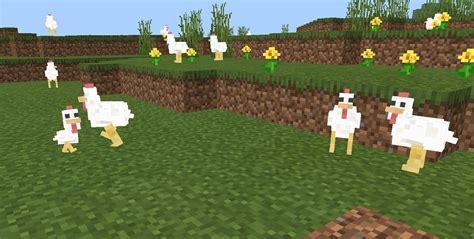 chicken new Minecraft Texture Pack