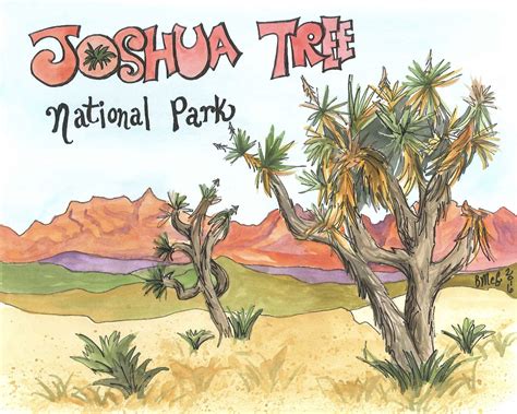 Barbara McGregor Art: Joshua Tree National Park