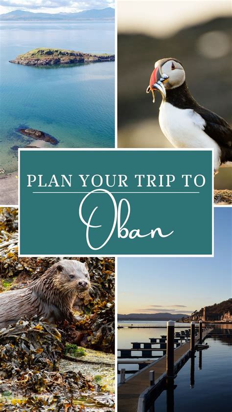 Top things to do in Oban - Visit Scotland this summer! | Scotland vacation, Scotland road trip ...