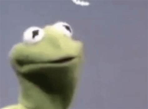 Kermit The Look GIF - Kermit TheLook Frog - Discover & Share GIFs