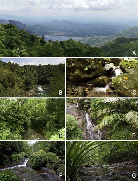 A. The Palghat Gap-approximately 30 km wide area with elevations below... | Download Scientific ...