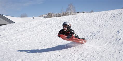 Best Sleds for a Snowy Winter | Winter Sledding