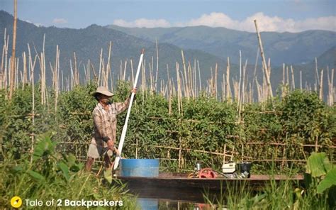 Inle-Lake-floating-gardens | Tale of 2 Backpackers