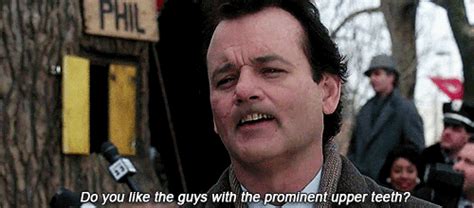 Groundhog Day Movie Quotes. QuotesGram