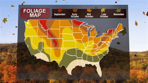 Fall foliage forecast: When’s the best time to see the leaves change | Fox 8 Cleveland WJW