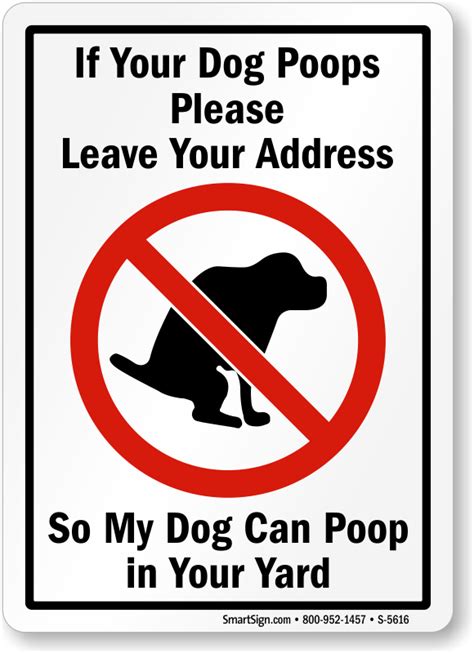 How To Get Dogs To Stop Pooping In Your Yard