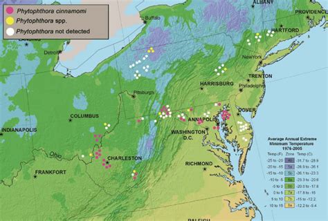 Geographical distribution of Phytophthora cinnamomi and six other... | Download Scientific Diagram