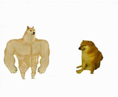 Strong dog vs weak dog - Meme Template - MeMesPortal