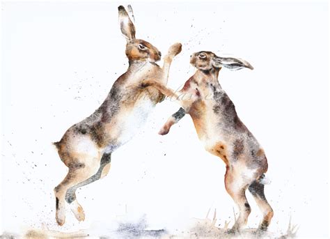 Pair of boxing hares painted by watercolour artist Jane Davies | Jane ...