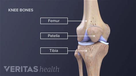 Discover 63+ knee joint sketch super hot - seven.edu.vn