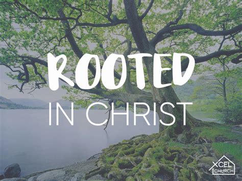 Rooted in Christ - Xcel Church