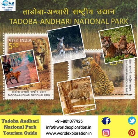 Tadoba Andhari Tiger Reserve is located in Chandrapur district, #Maharashtra state and It's ...