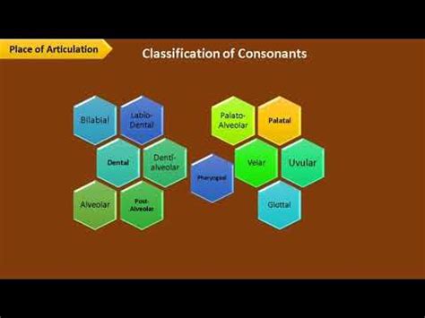 Bilabial Consonants - Place of Articulation #/p/ #/b/ #/m/ - YouTube