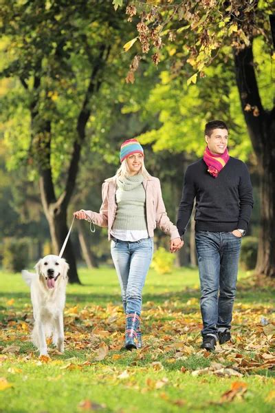 Couple walking dog Stock Photos, Royalty Free Couple walking dog Images | Depositphotos