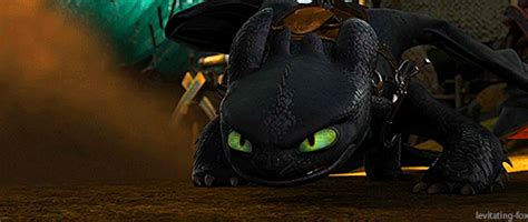 Toothless the Nightfury: Finals Week!!!