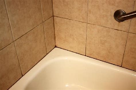 Remove All Stains.com: How to Remove Mold from Shower Grout