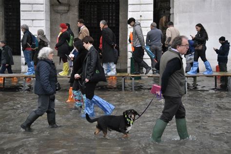 Venice Flooding Pictures and Videos Show Highest Water Levels in 50 Years