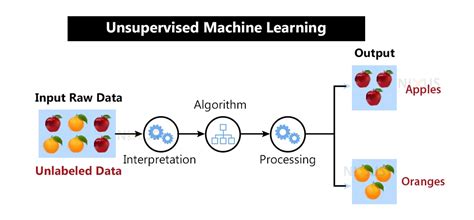 Unsupervised Learning Types, Algorithms and Applications - Nixus