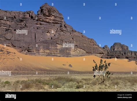 DESERT LANDSCAPE IN SAHARA REGION IN ALGERIA. SAFARI AND ADVENTURE IN ...