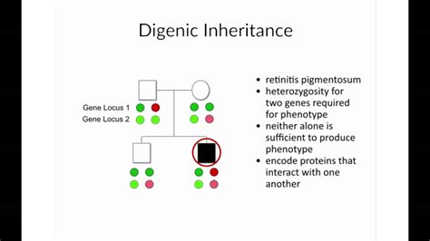 Non Mendelian Inheritance Examples