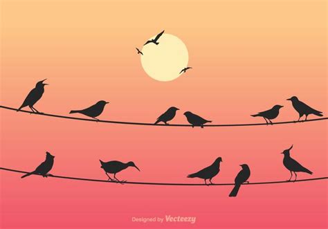 Free Birds On Wires Vector Illustration - Download Free Vector Art ...