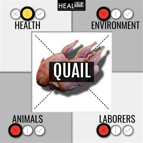 Quail Meat Side Effects And Disadvantages