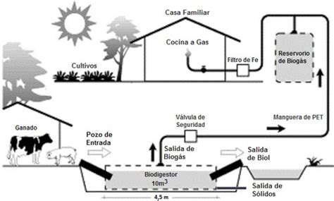 superstición Soportar Fiesta biodigestor de biogas Corrección ...