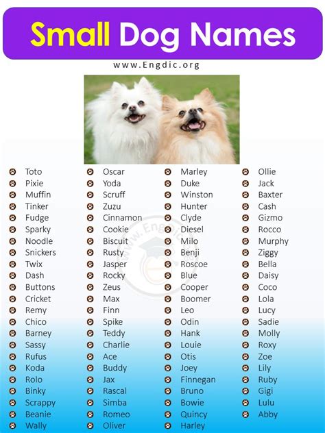 small dog names in english with pictures on the front and back side ...