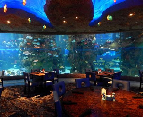 Tour the Aquarium Restaurant and Learn about Marine Biology