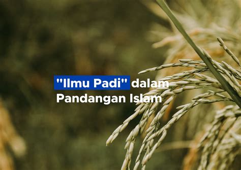 "Ilmu Padi" dalam Pandangan Islam | Muhammadiyah