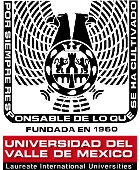 LA HISTORIA DE UNIVERSIDAD DEL VALLE DE MEXICO timeline | Timetoast