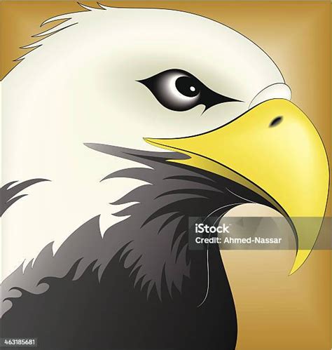 Eagle Face Silhouette Stock Illustration - Download Image Now - Animal ...