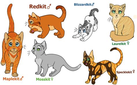 If Bluestar and Fireheart had kits by JustSayo on DeviantArt