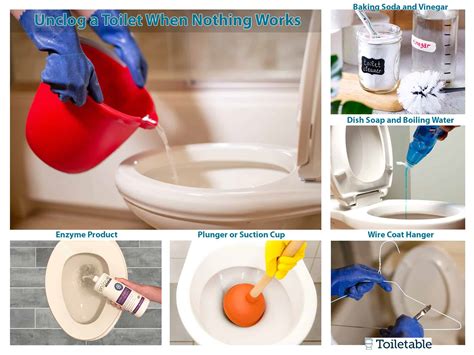 12 Best Toilet Bowl Cleaners Of 2023 Reviewed | lupon.gov.ph