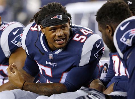 Dont'a Hightower injury update: New England Patriots could have LB back as soon as Week 3 ...