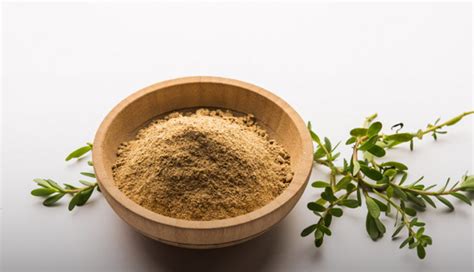 Unlocking the Top 5 Health Benefits of Brahmi Powder - lifeberrys.com