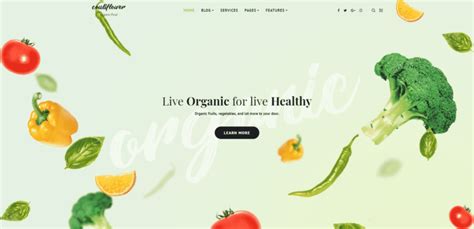 20 Best Organic Food WordPress Themes Collection - Colorlib