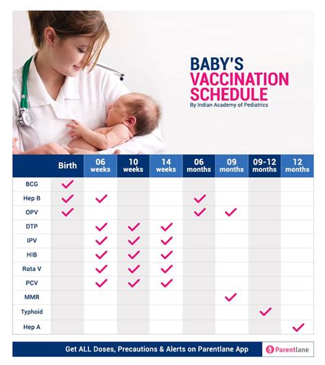 Immunization Schedule Table Baby | Review Home Decor