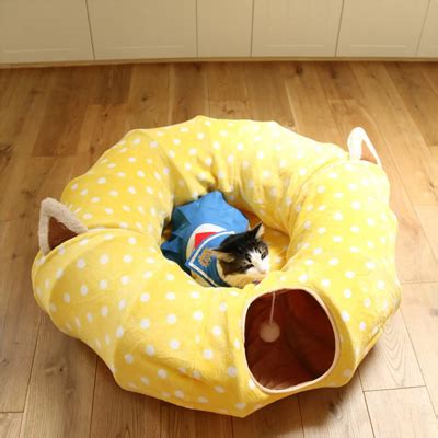 Unique Cat Tunnels Your Kitty Will Love! – Meow As Fluff