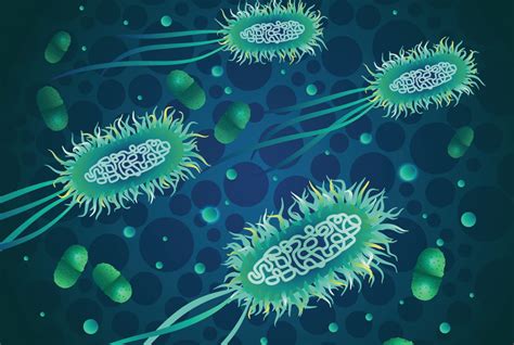 Abundance of Infectious Bacteria in the Gut May Predict Risk of Urinary ...