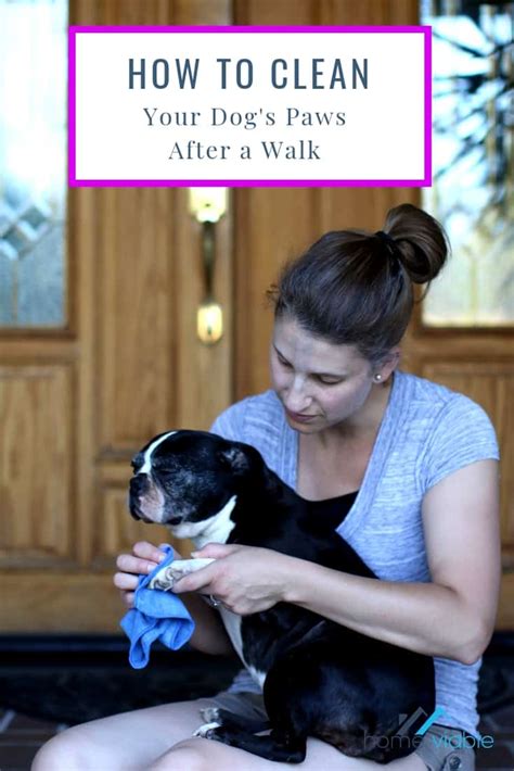 How to Clean Your Dog's Paws and Feet After a Walk | HomeViable
