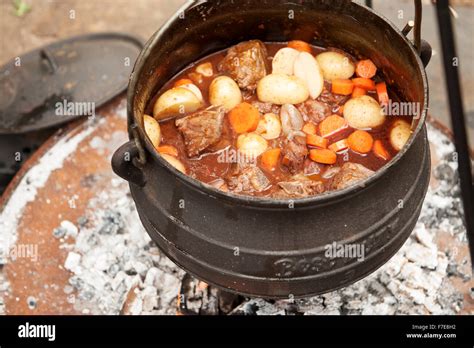 Lamb curry cooked in a traditional South African Potjiekos, which is Stock Photo, Royalty Free ...