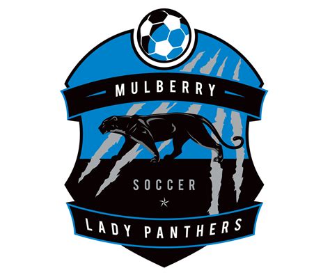 gallery of soccer logos | basketball logo design | football logo design ...