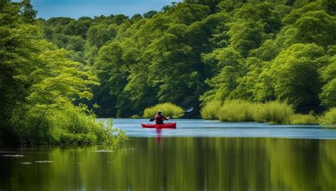 Uncover Nature's Beauty: A Guide to Exploring the Mystic River Watershed