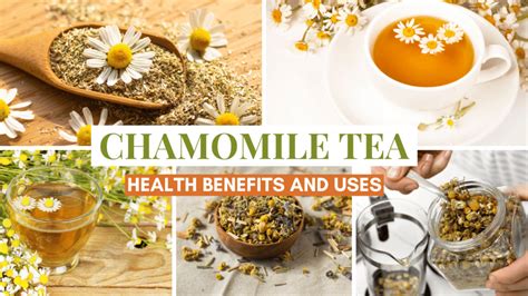 Chamomile Tea - Health Benefits, Uses, and Side-effects - Helthy Leaf