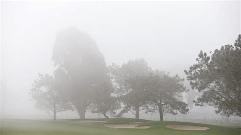 Tule Fog Is the Bane of Central Valley Motorists But It's Beloved by Crop Growers | KTLA