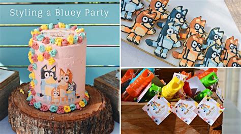 Bluey Character Birthday Party